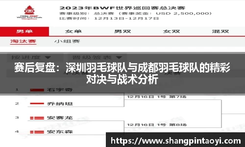 赛后复盘：深圳羽毛球队与成都羽毛球队的精彩对决与战术分析
