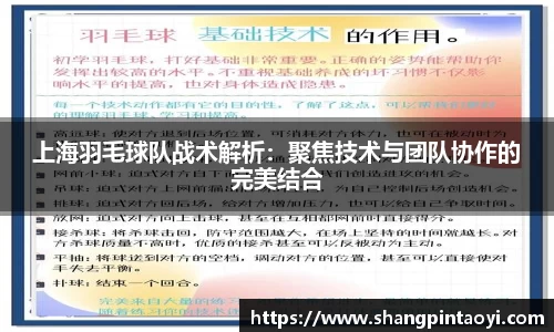 上海羽毛球队战术解析：聚焦技术与团队协作的完美结合