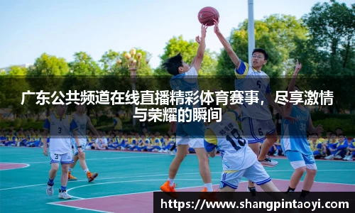 广东公共频道在线直播精彩体育赛事，尽享激情与荣耀的瞬间
