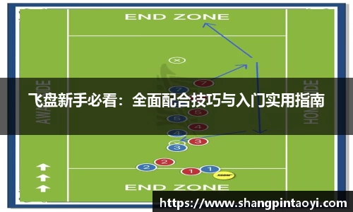 飞盘新手必看：全面配合技巧与入门实用指南