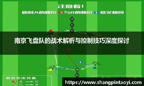 南京飞盘队的战术解析与控制技巧深度探讨