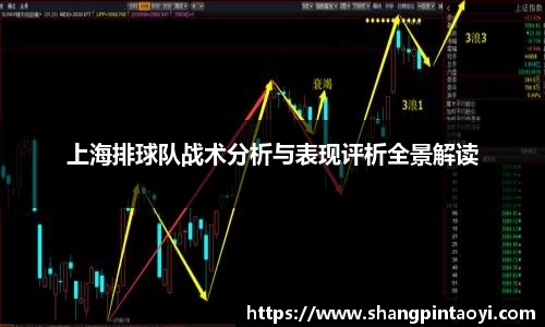 上海排球队战术分析与表现评析全景解读