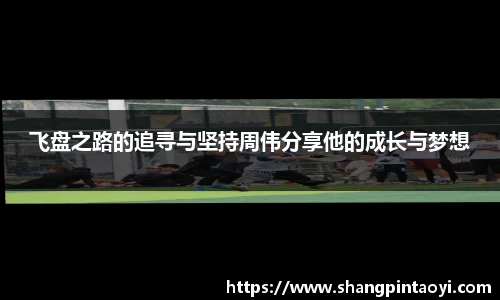 飞盘之路的追寻与坚持周伟分享他的成长与梦想