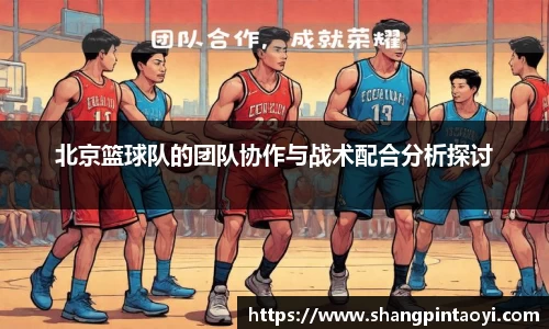 北京篮球队的团队协作与战术配合分析探讨